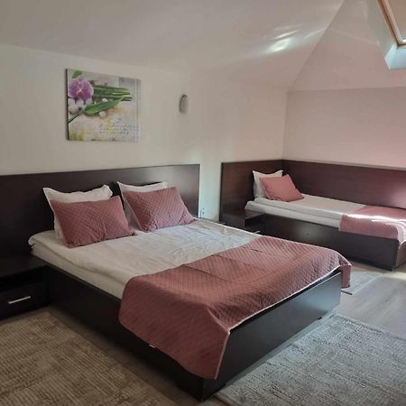 Pensiunea Public House Буштени Экстерьер фото